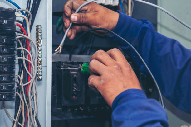 Best Electric Panel Repair  in Hampton, IL